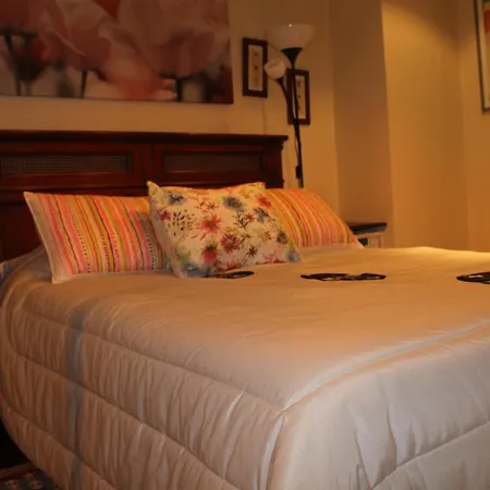 Apartamento Duplex Amplio,parking Wifi, 2 Terrazas, Bien Conectado Con Playas, Zona Segura